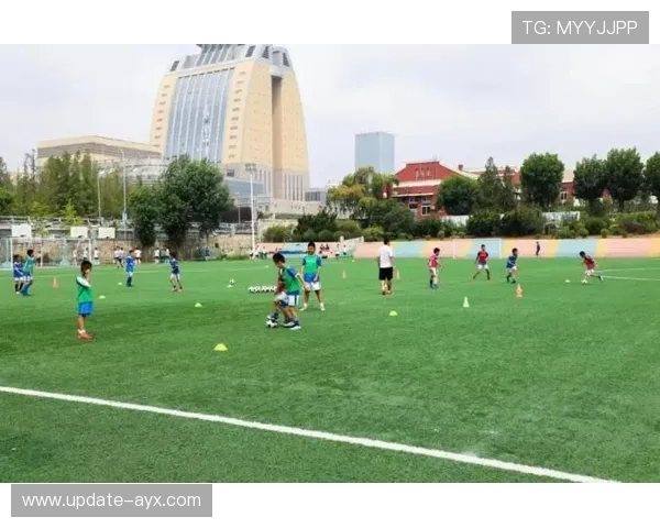 大连梯队青训排名提升，区域青训生态改善明显