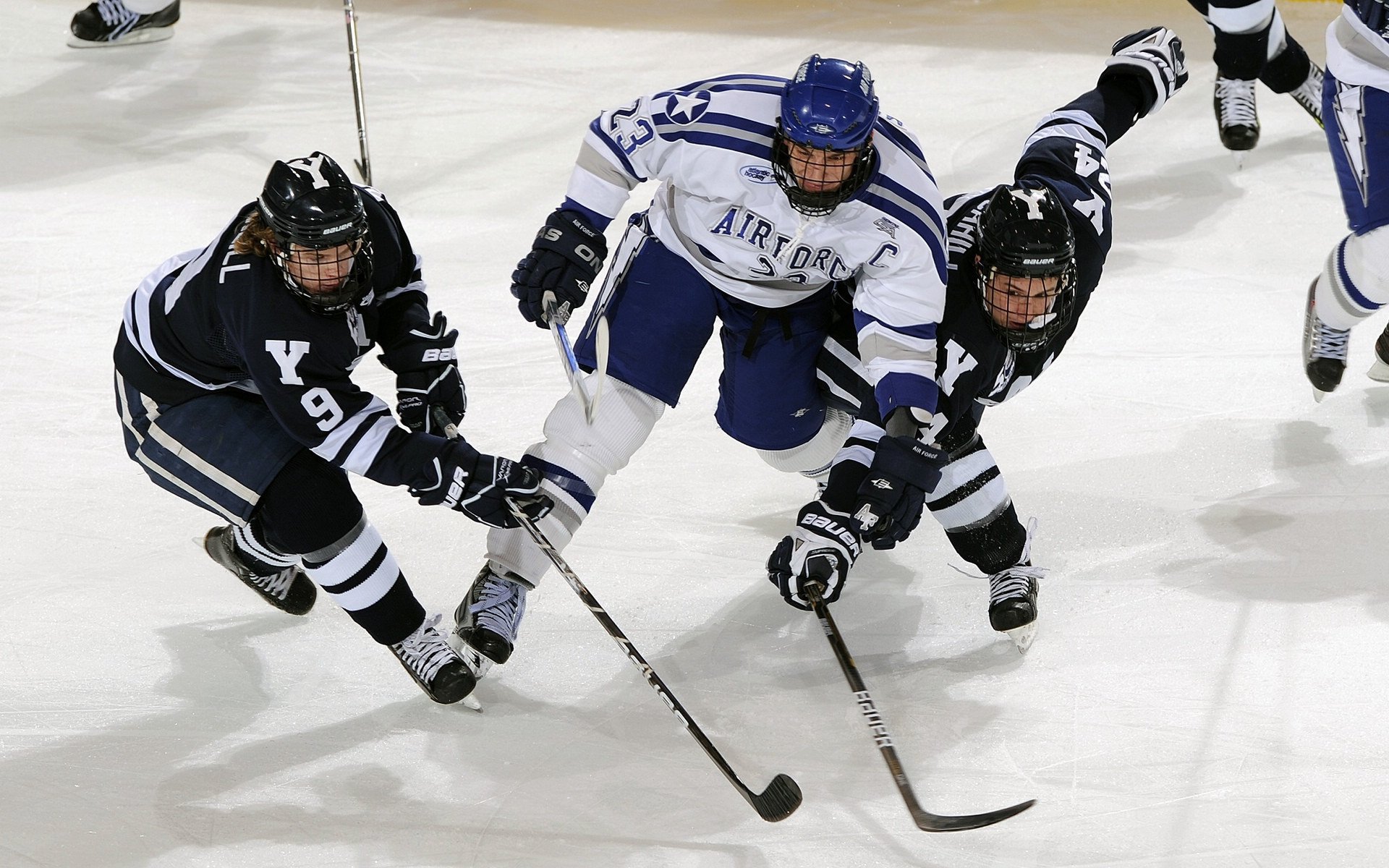 世界杯:摄影展聚焦“普通球迷的表情” 收录数百张精彩瞬间